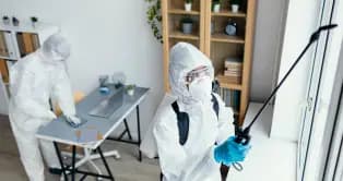 Comprehensive Home Pest Protection