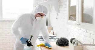 Structural Pest Prevention