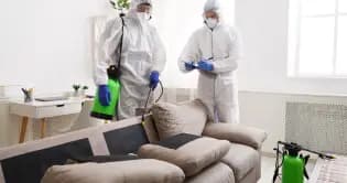 Targeted Infestation Treatments