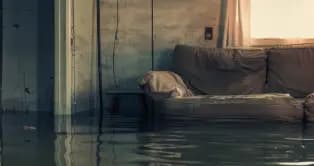 Emergency water damage restoration